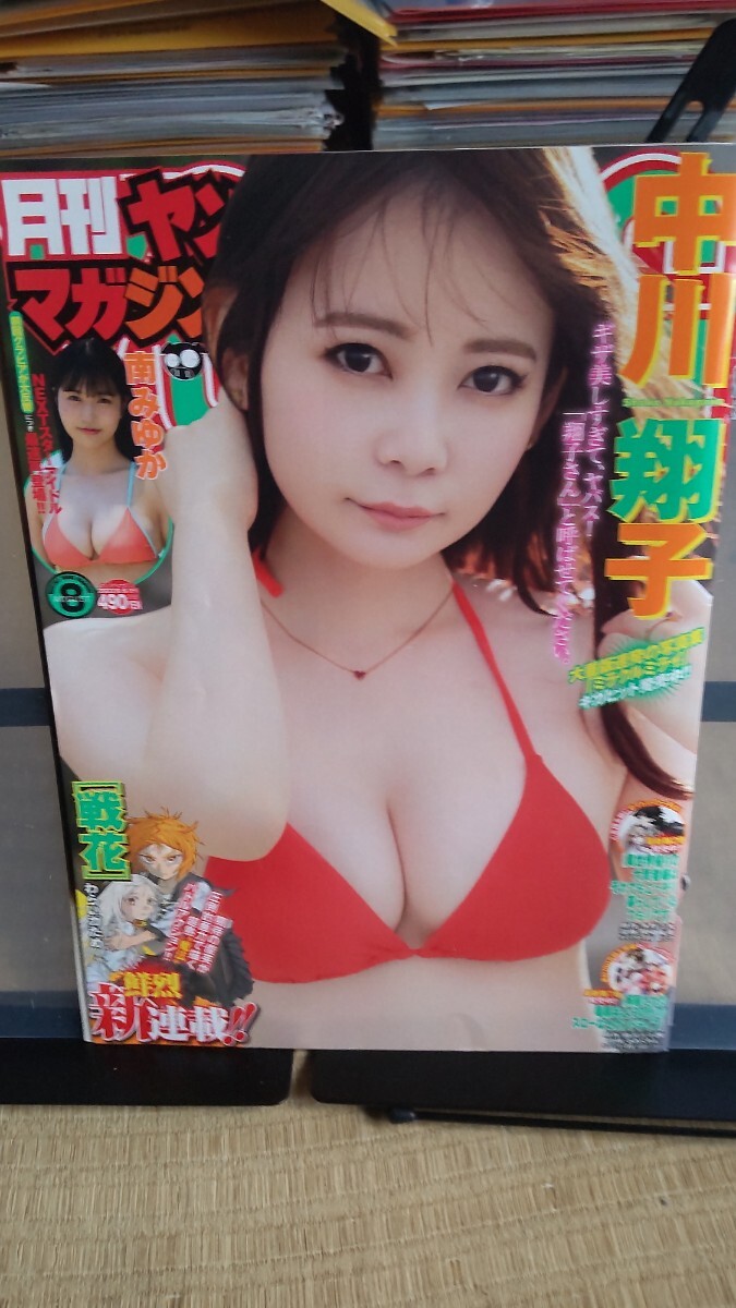 中川翔子 しょこたん 月刊ヤングマガジン2022年 切り抜き8ページ_画像2