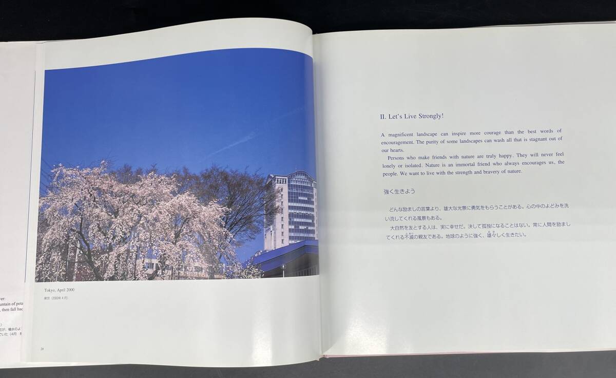 □M63 池田大作 写真集 自然との対話 2001 Rendezvous with Nature 非売品 2001年発行 創価学会 押印入りの画像6