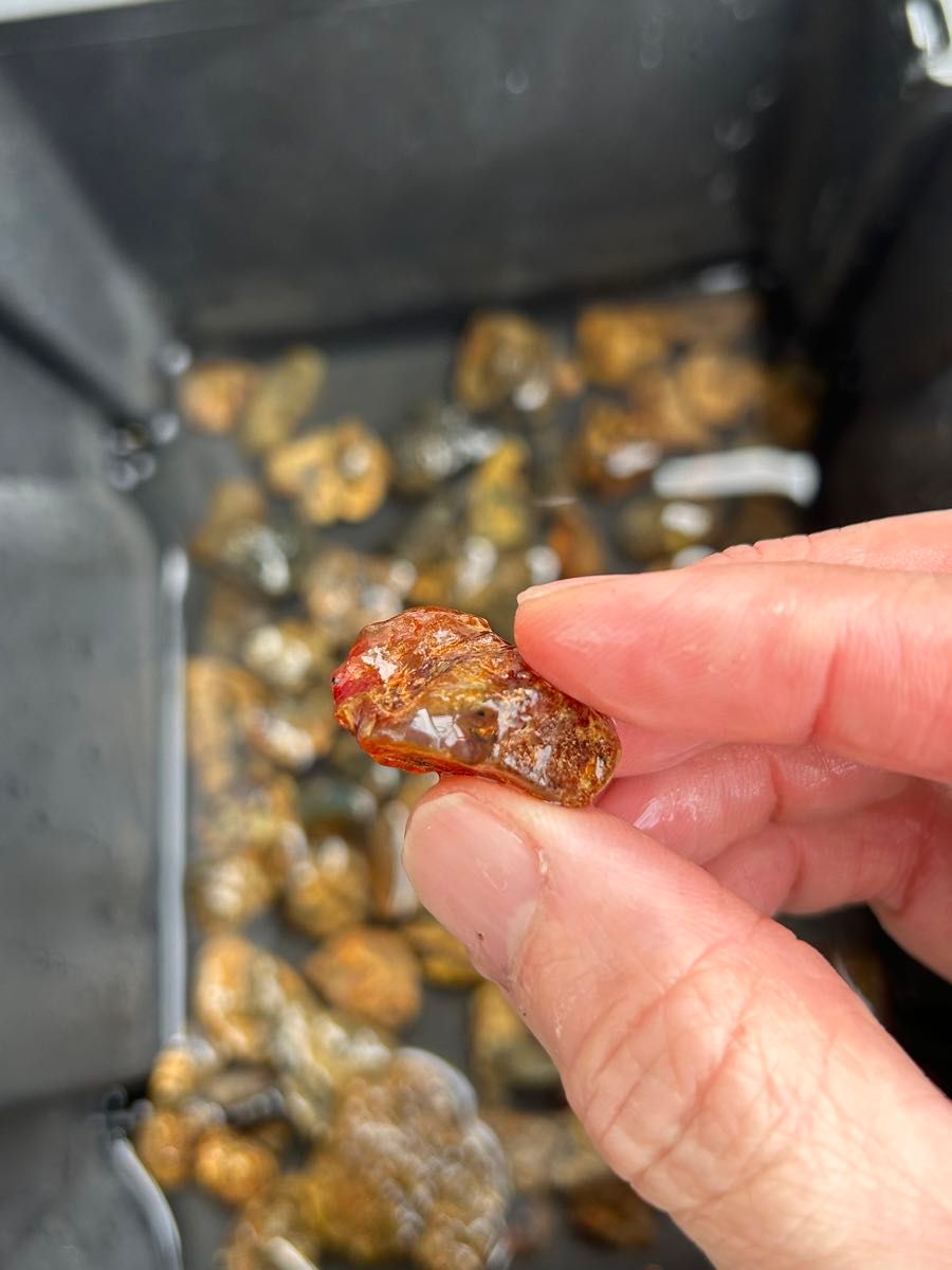 ドミニカ産琥珀原石 合計173g dominican amber 