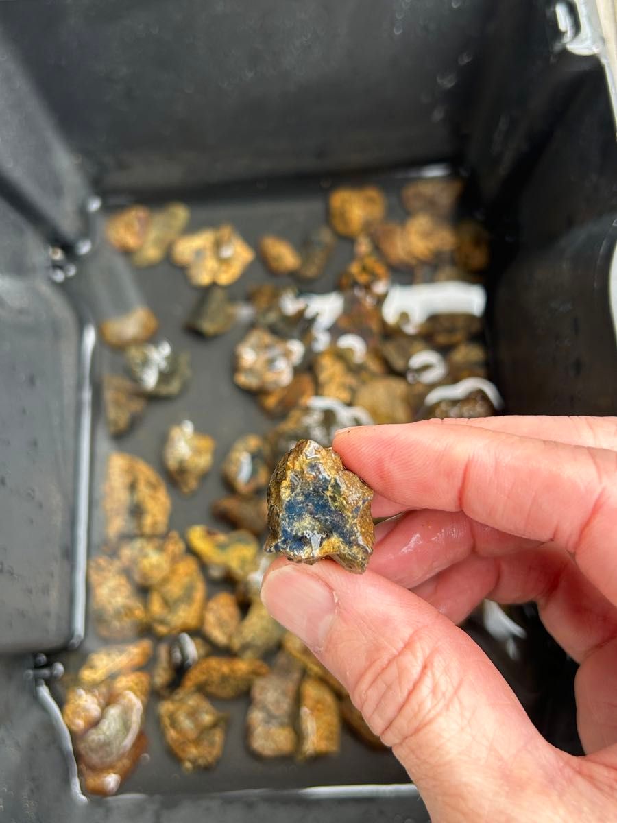 ドミニカ産琥珀原石 合計173g dominican amber 