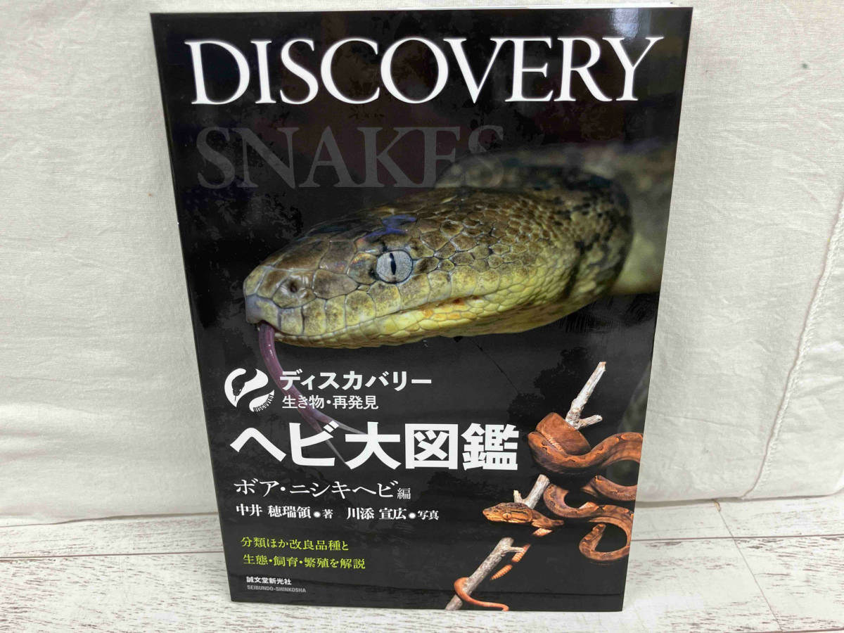  snake large illustrated reference book boa *ni type snake compilation middle ....