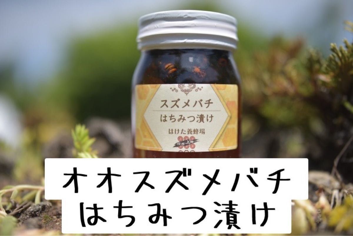 オオスズメバチ はちみつ漬け 生はちみつ 600g 国産　蜂蜜 【生産者直送】