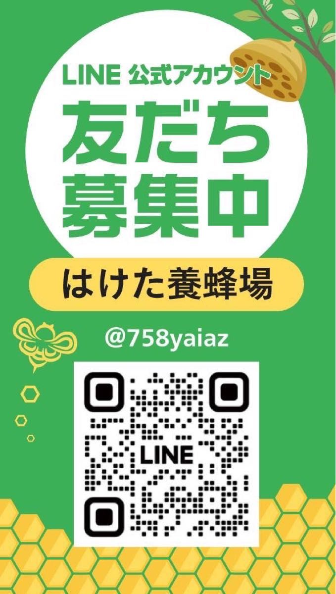 そば 生はちみつ 300g×2本 国産　蜂蜜 【生産者直送】