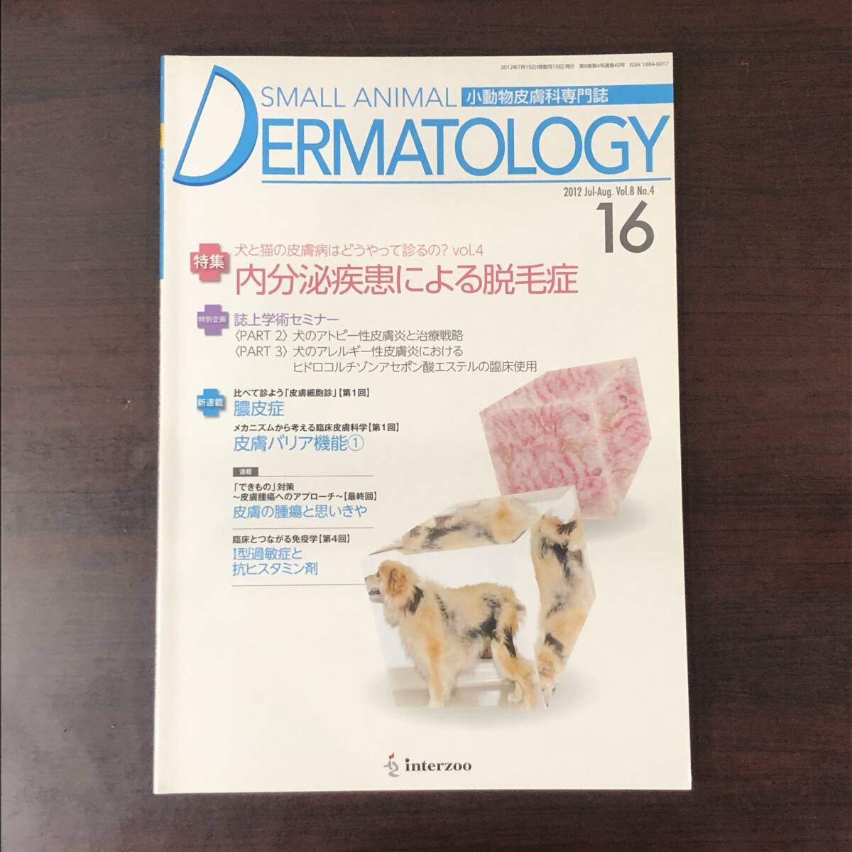 小動物皮膚科専門誌 Small Animal Dermatology 2012年　内分泌疾患による脱毛症　インターズー　獣医学　動物病院　【A36】_画像1