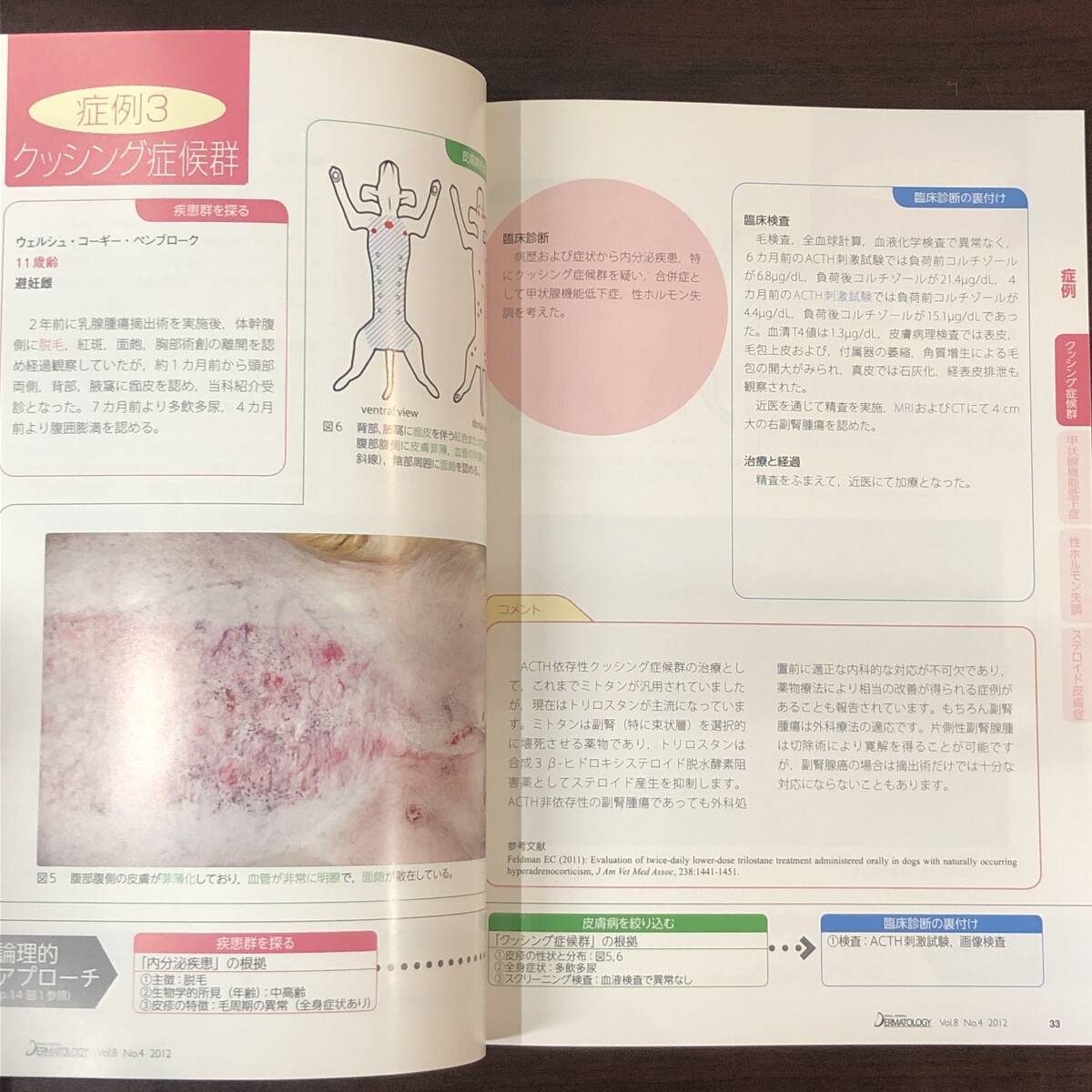 小動物皮膚科専門誌 Small Animal Dermatology 2012年　内分泌疾患による脱毛症　インターズー　獣医学　動物病院　【A36】_画像5