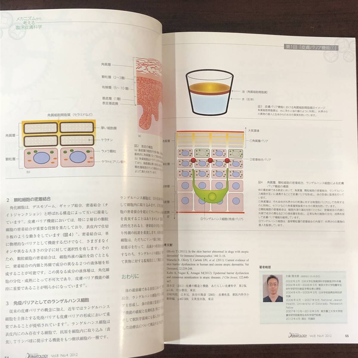 小動物皮膚科専門誌 Small Animal Dermatology 2012年　内分泌疾患による脱毛症　インターズー　獣医学　動物病院　【A36】_画像6