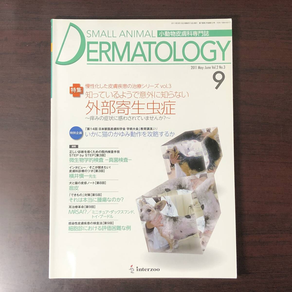 小動物皮膚科専門誌 Small Animal Dermatology 2011年　慢性化した皮膚疾患　外部寄生虫症　インターズー　獣医学　動物病院　【A36】_画像1