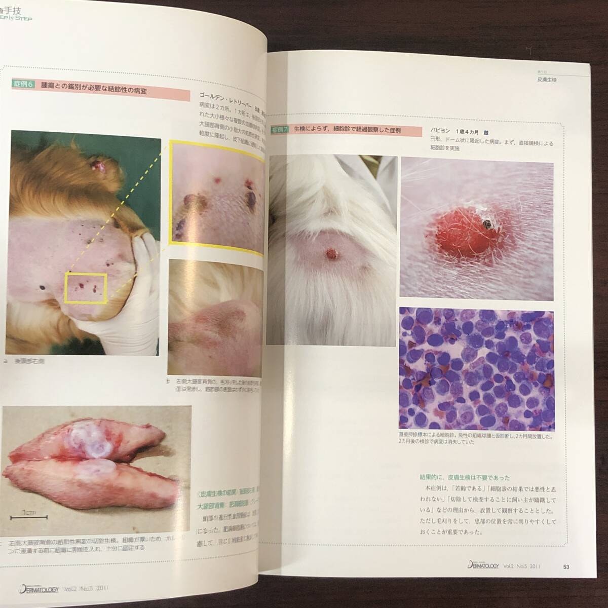 小動物皮膚科専門誌 Small Animal Dermatology 2011年　慢性化した皮膚疾患 再発する犬の膿皮症　インターズー　獣医学　動物病院【A36】_画像6
