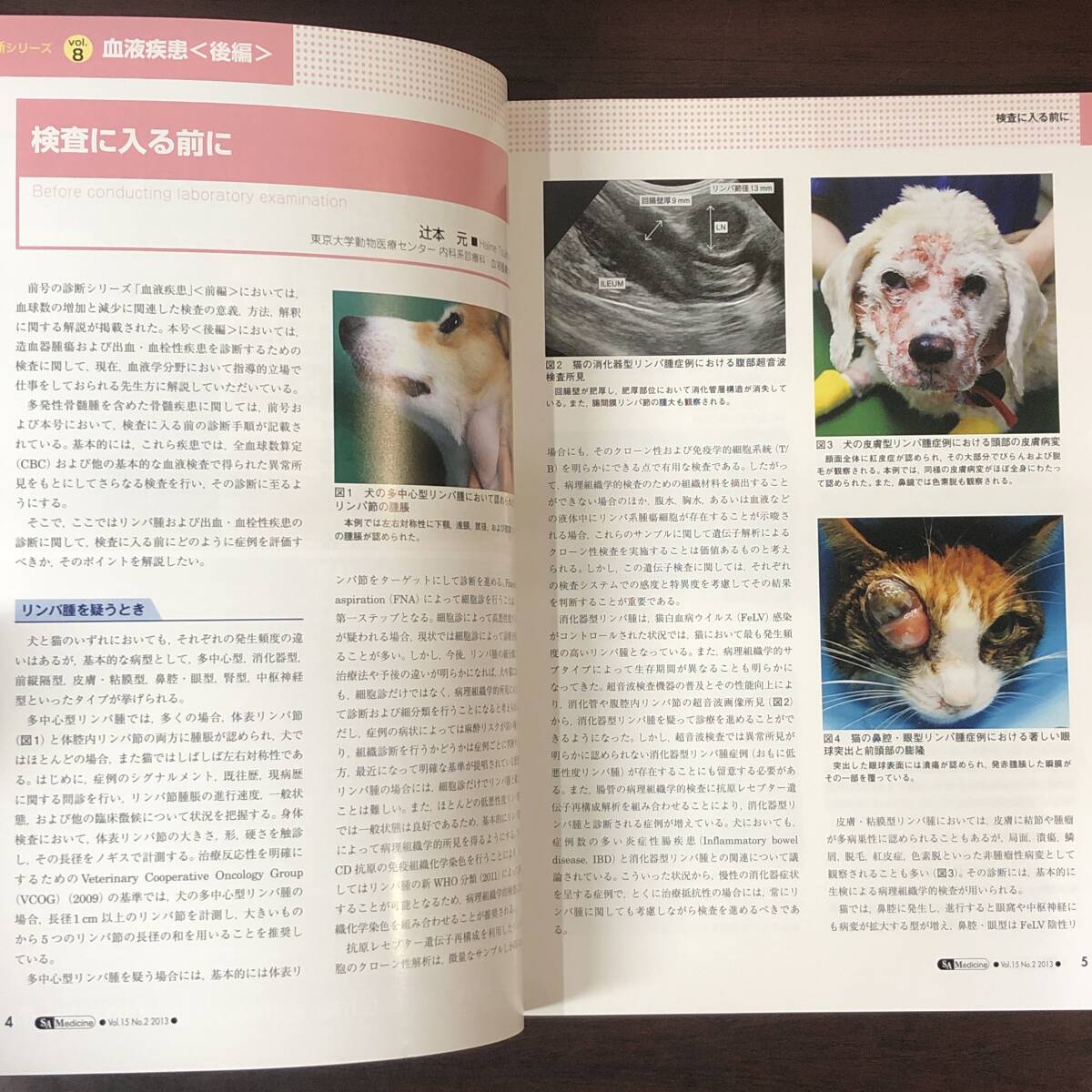 小動物内科専門誌 Small Animal Medicine 2013年　血液疾患［後編］　インターズー　獣医学　動物病院【A36】_画像3