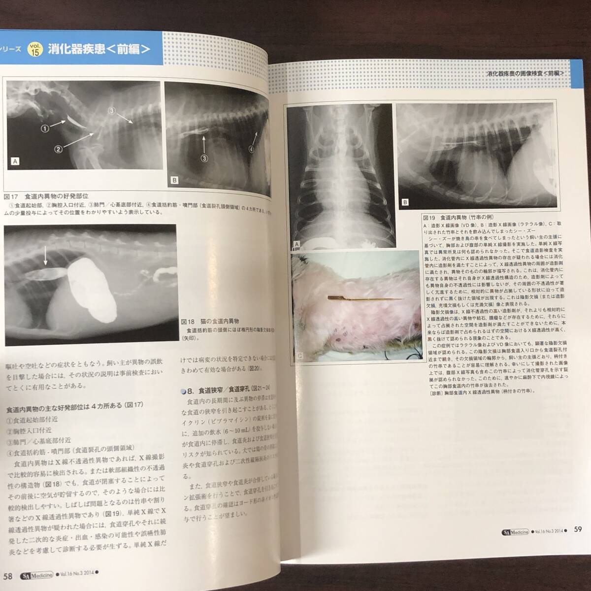 小動物内科専門誌 Small Animal Medicine 2014年　消化器疾患［前編］　インターズー　獣医学　動物病院【A36】_画像7