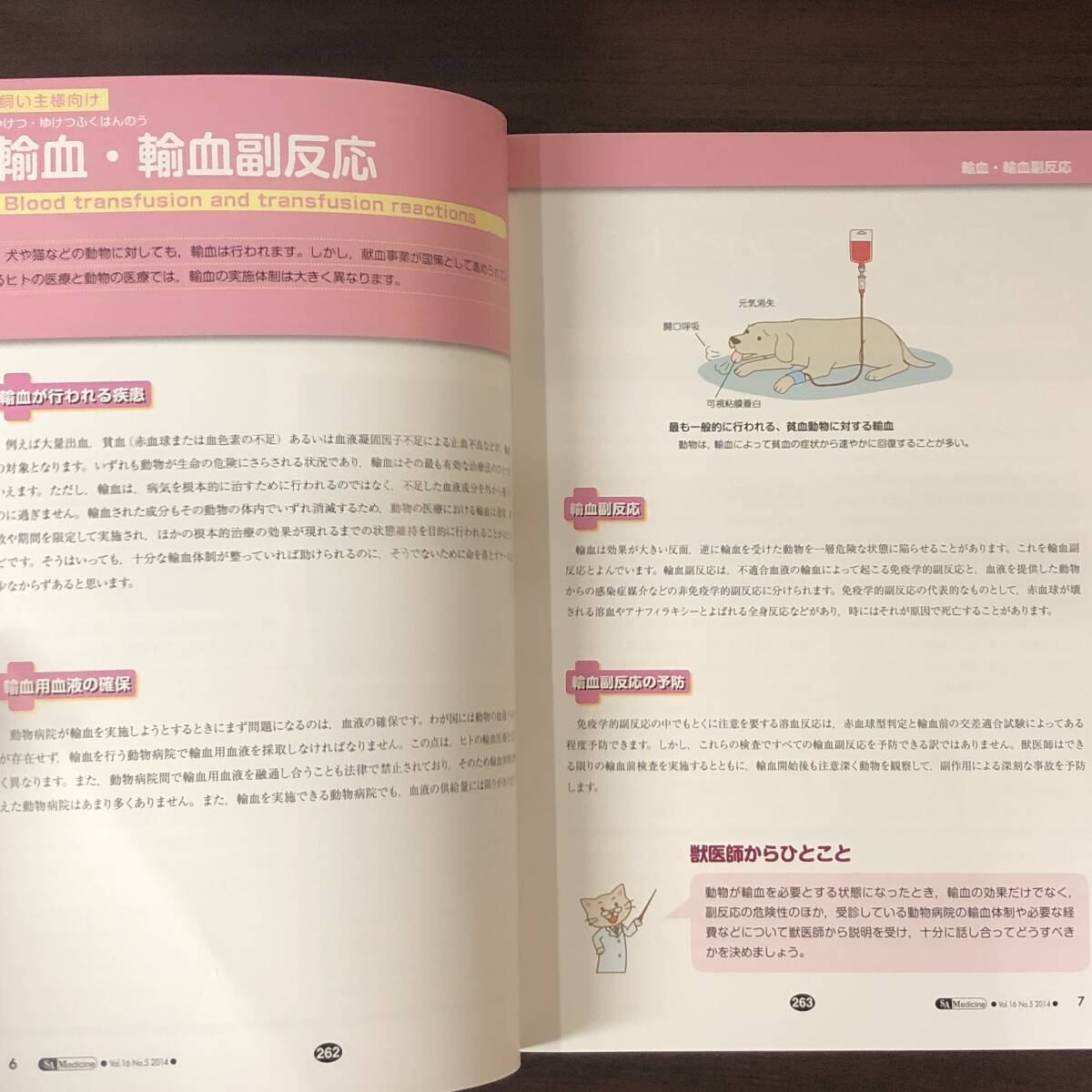 小動物内科専門誌 Small Animal Medicine 2014年　腫瘍［前編］　インターズー　獣医学　動物病院【A36】_画像3