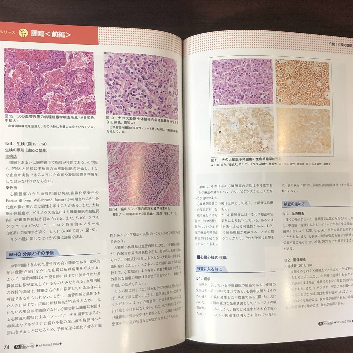 小動物内科専門誌 Small Animal Medicine 2014年　腫瘍［前編］　インターズー　獣医学　動物病院【A36】_画像7