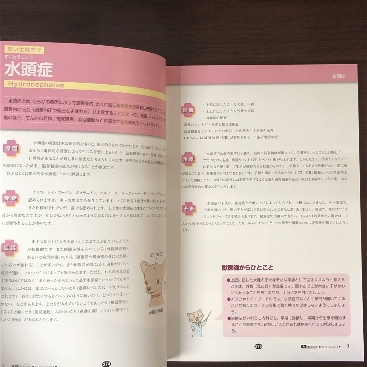 小動物内科専門誌 Small Animal Medicine 2014年　腫瘍［後編］　インターズー　獣医学　動物病院【A36】_画像3