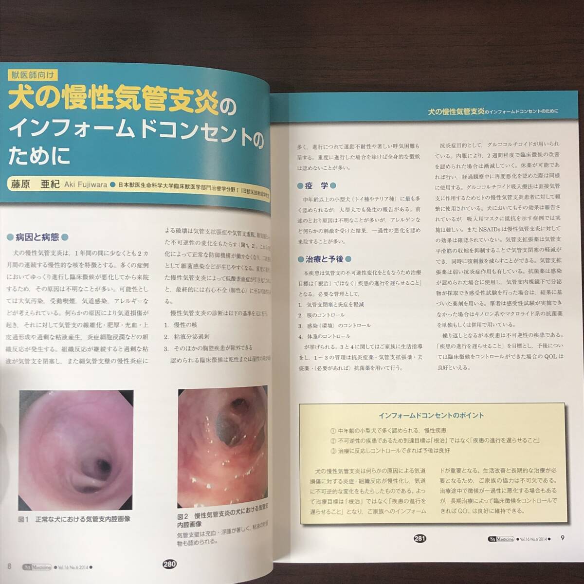 小動物内科専門誌 Small Animal Medicine 2014年　腫瘍［後編］　インターズー　獣医学　動物病院【A36】_画像4