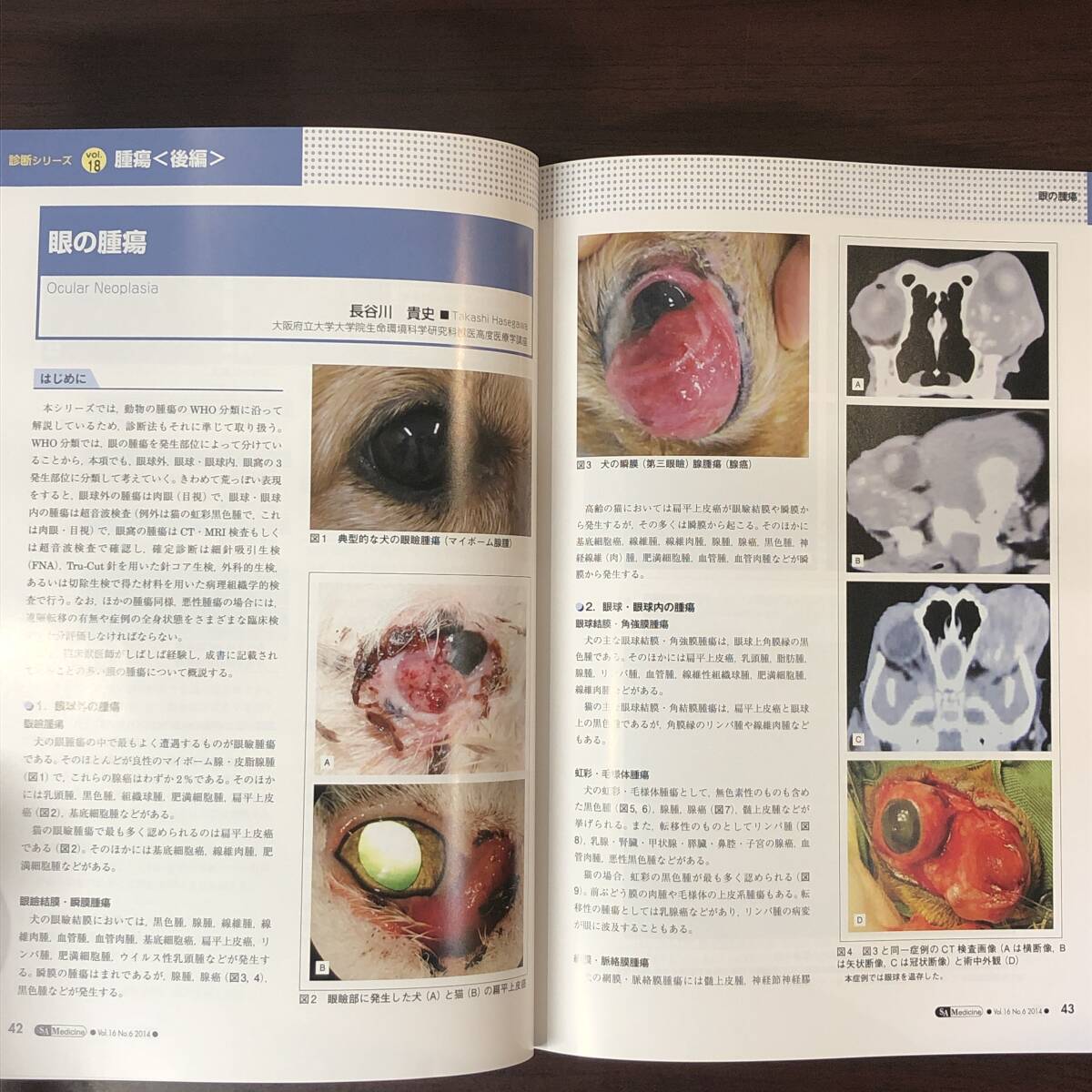 小動物内科専門誌 Small Animal Medicine 2014年　腫瘍［後編］　インターズー　獣医学　動物病院【A36】_画像6