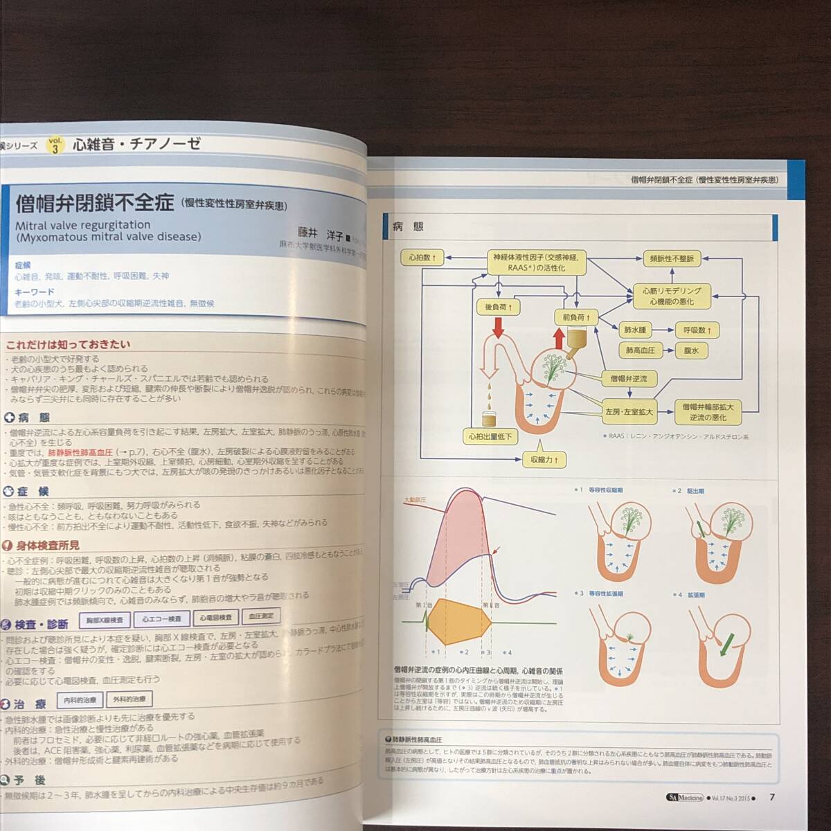 小動物内科専門誌 Small Animal Medicine 2015年　心雑音・チアノーゼ　インターズー　獣医学　動物病院【A36】_画像3