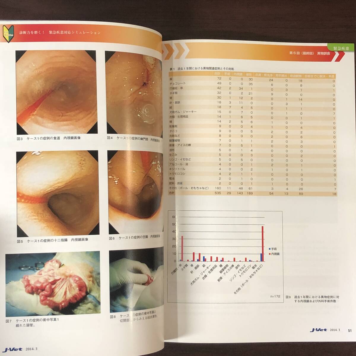 Ｊ-Ⅴeｔ　2014年3月　獣医師向け総合情報誌　小動物　日常に活かす眼科診察ガイド 2　点眼薬と日常の眼科手術 　獣医学　動物病院【A36】_画像7