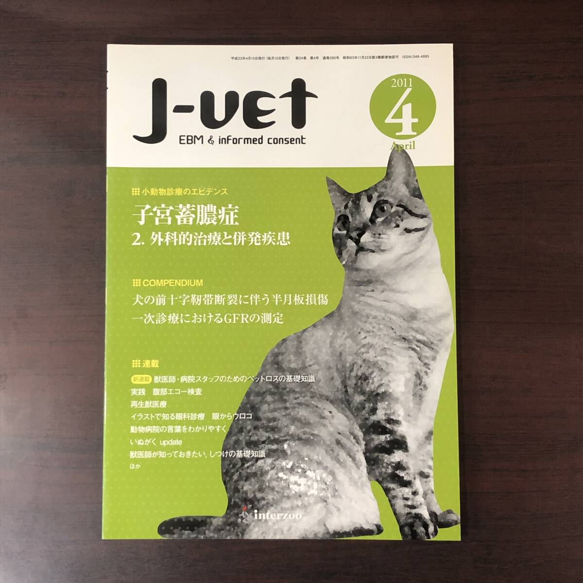 Ｊ-Ⅴeｔ　2011年4月　獣医師向け総合情報誌　小動物　子宮蓄膿症　2. 外科的治療と併発疾患　獣医学　動物病院【A36】_画像1