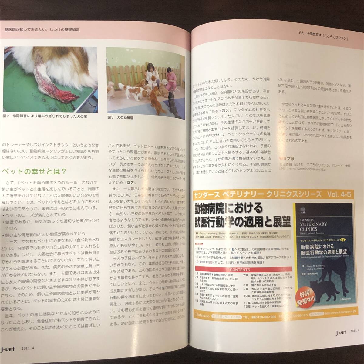 Ｊ-Ⅴeｔ　2011年4月　獣医師向け総合情報誌　小動物　子宮蓄膿症　2. 外科的治療と併発疾患　獣医学　動物病院【A36】_画像7