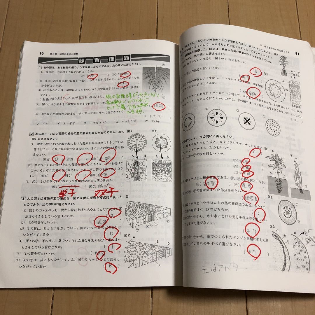 Paypayフリマ 中学1年 理科 Winpass Paypayフリマ 中学1年 理科 Winpass