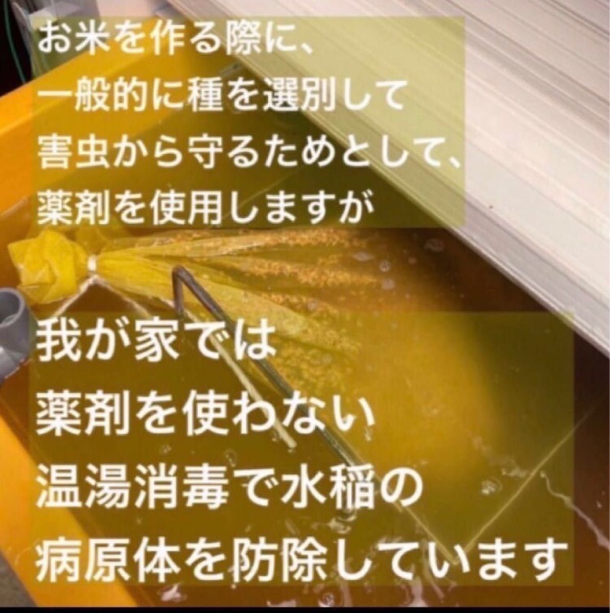 ★新米キャンペーン今週限定価格【生産者直送】令和5年度岡山県産ヒノヒカリ玄米10kg白米も可能です。