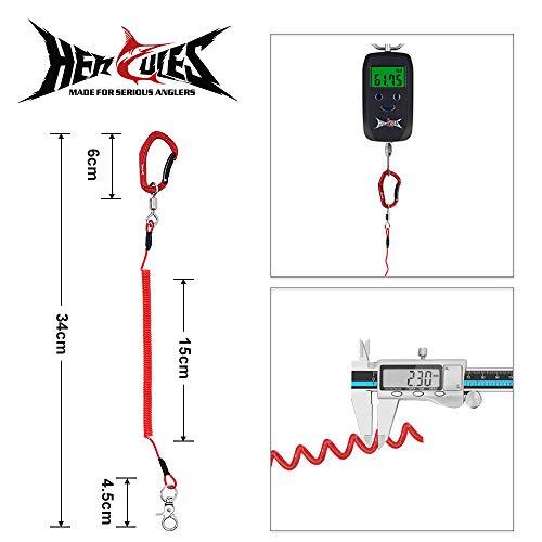 HERCULES(ヘラクレス) スパイラルコード 尻手ロープ 両端 カラビナ付き カールコード ワイヤー入り 落下防止 錆びない 尻手ベルト_画像3