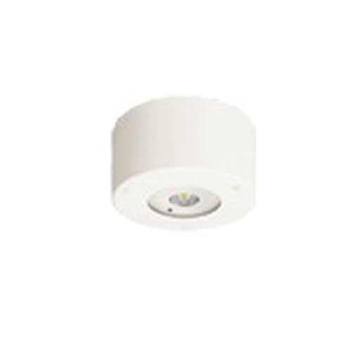 パナソニック(Panasonic) LED非常用照明器具 NNFB84105 天井直付型 昼白色 電源別置型 低～中天井用(～6m) 防湿型・防雨型_画像1
