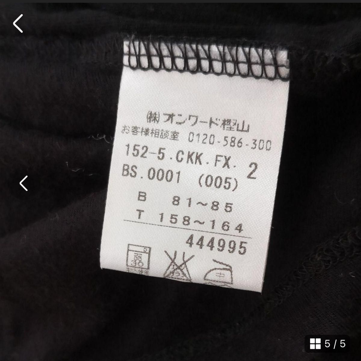 anyFAM フリルカットソー　シアーカラー　 長袖 上品 トップス ブラウス