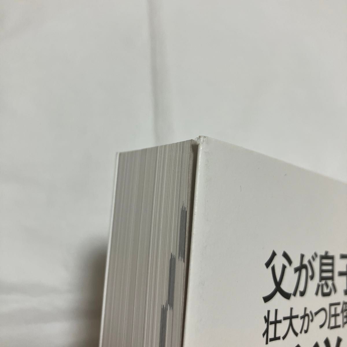 父が息子に語る壮大かつ圧倒的に面白い哲学の書 スコット・ハーショヴィッツ／著　御立英史／訳