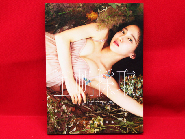 Yahoo!オークション - 吉岡里帆 写真集 里帆採取 by Asami Yahoo!オークション - 吉岡里帆 写真集 里帆採取 by Asami