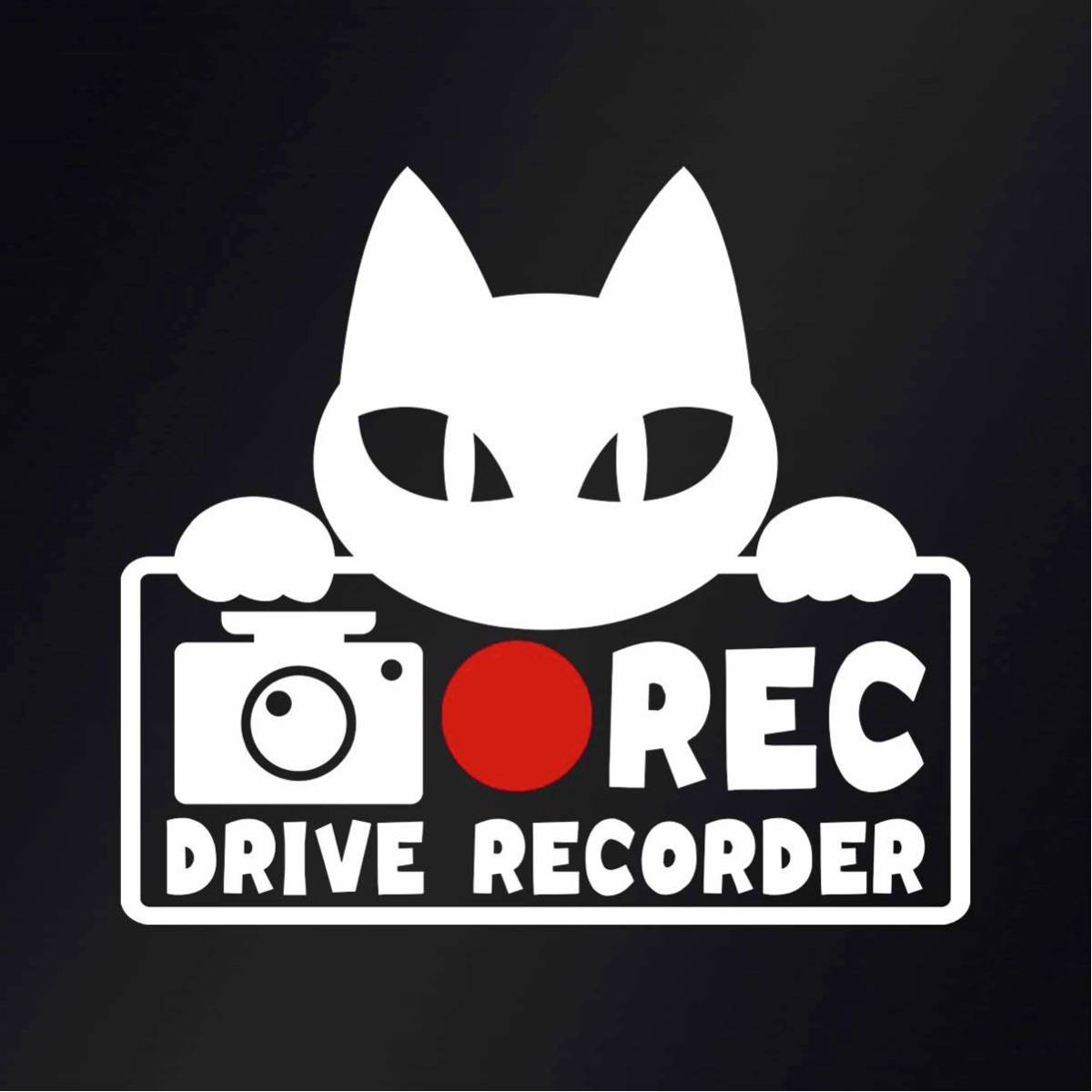 【カッティングステッカー】可愛い猫デザインのドラレコ録画中ステッカー ネコ ねこ ドライブレコーダー 煽り運転防止 可愛い キュートの画像1