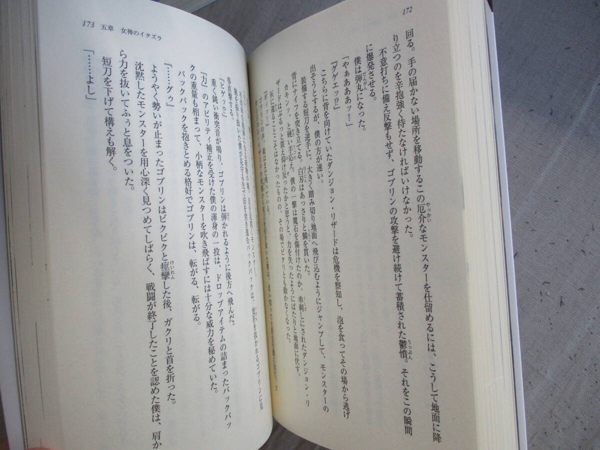 Ｅ０　ダンジョンに出会いを求めるのは間違っているだろうか　16冊セット　大森藤ノ　GA文庫　SBクリエイティブ　ライトノベル_画像9