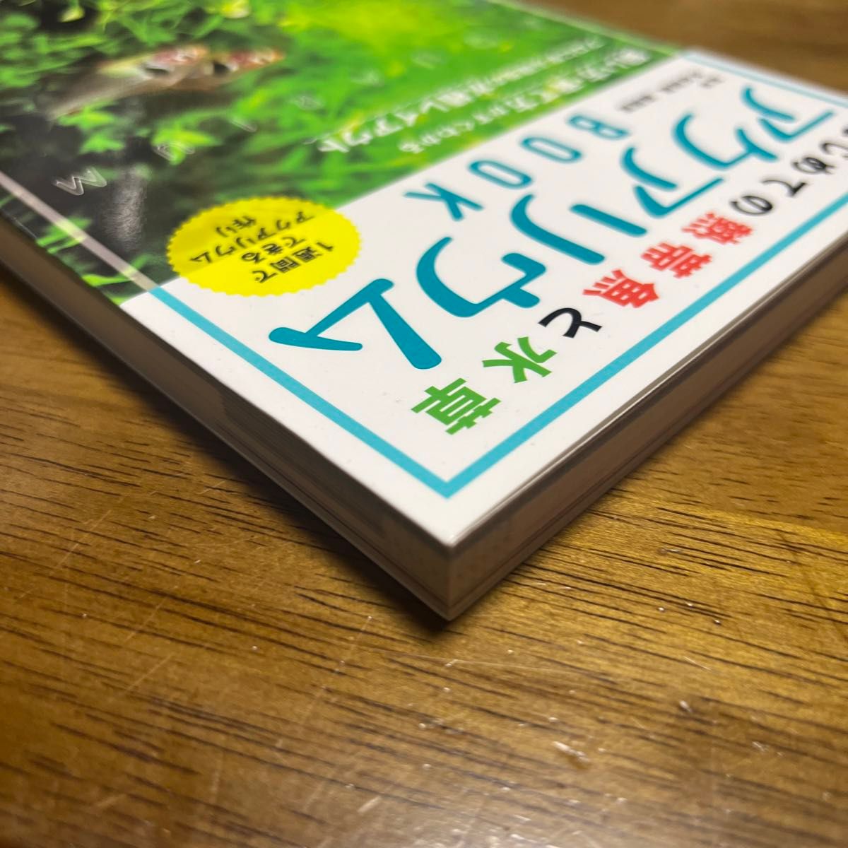 はじめての熱帯魚と水草アクアリウムＢＯＯＫ１週間でできるアクアリウム作り　飼い方・育て方がすぐわかるプロに学ぶ理想の水槽レイアウト