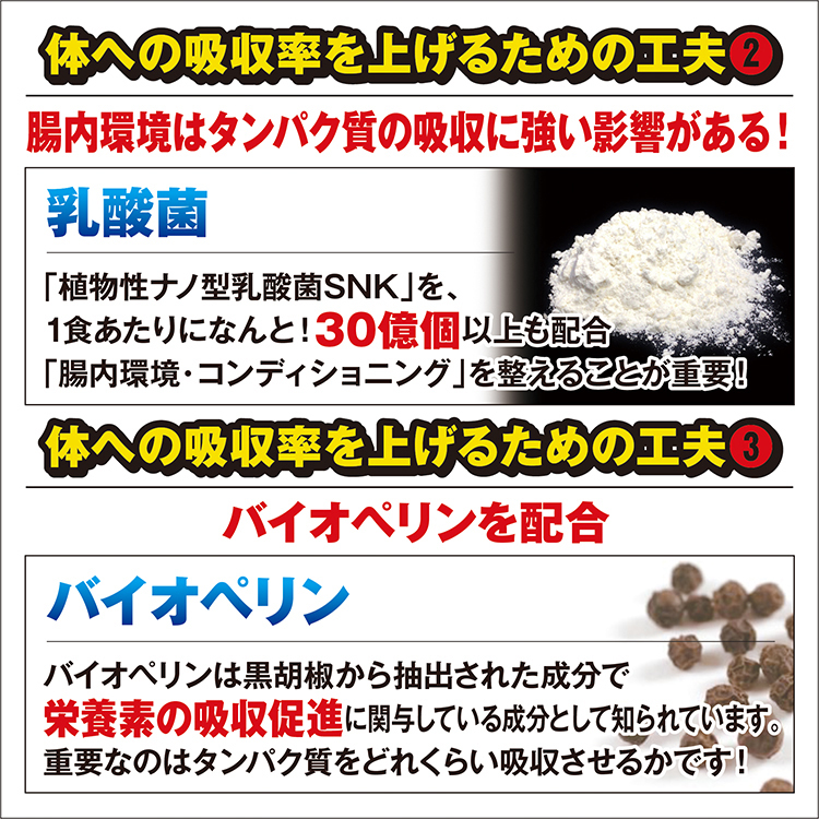 ホエイプロテイン ベリー ( 3kg ) SAVEプロテイン やみつきベリーベリーミックス風味 WPC 乳酸菌 バイオペリン 酵素 3kg_画像4