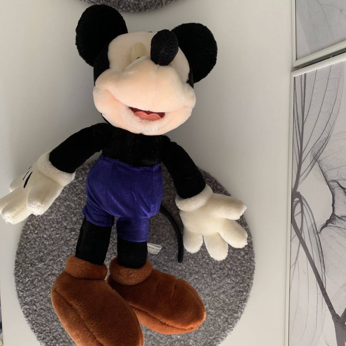 ◇Disney 東京ディズニーランド トゥーンタウン 小さかっ ◇Disney 東京ディズニーランド トゥーンタウン 小さかっ