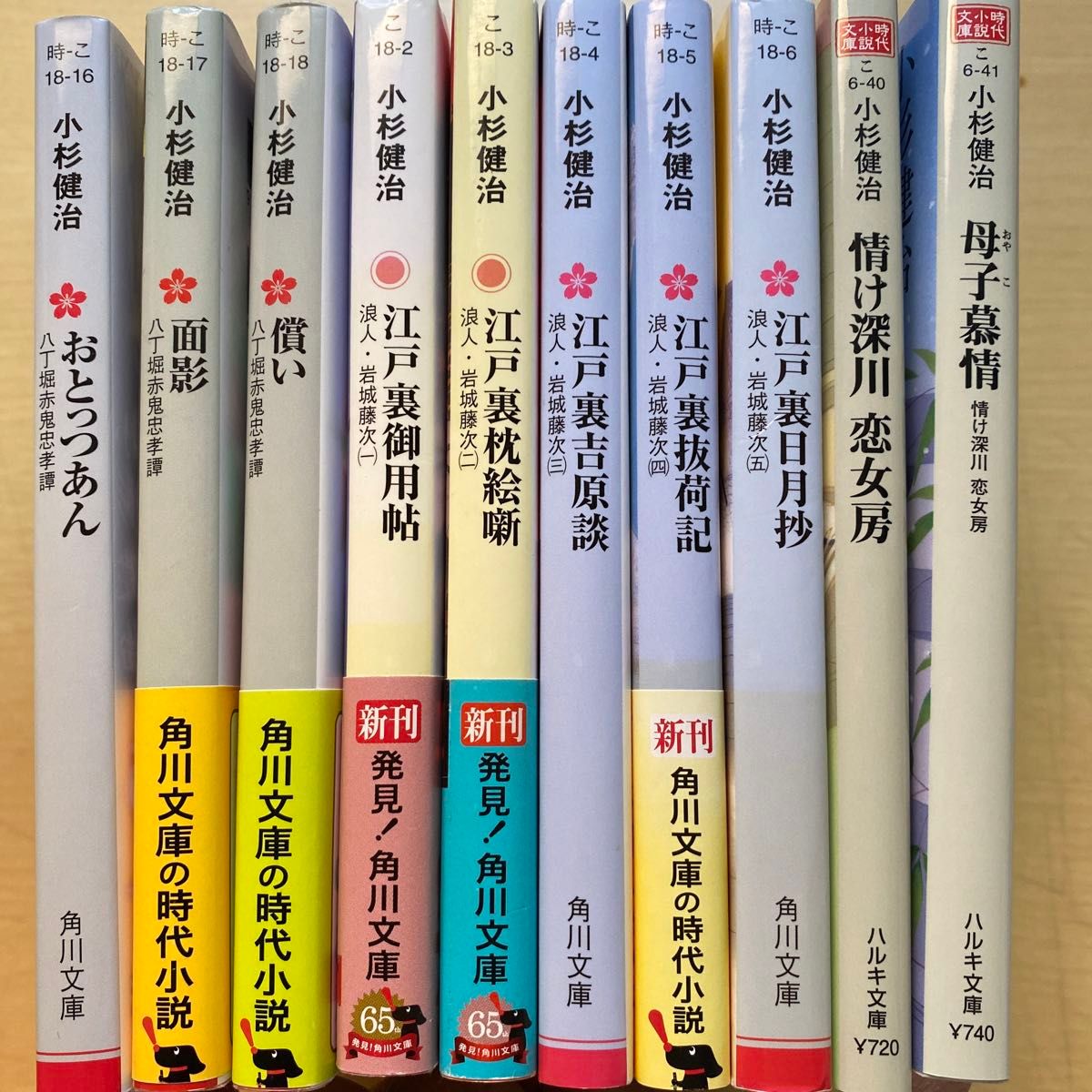 小杉健治　情け深川恋女房　八丁堀赤鬼忠孝譚　浪人・岩城藤次　合計十冊セット