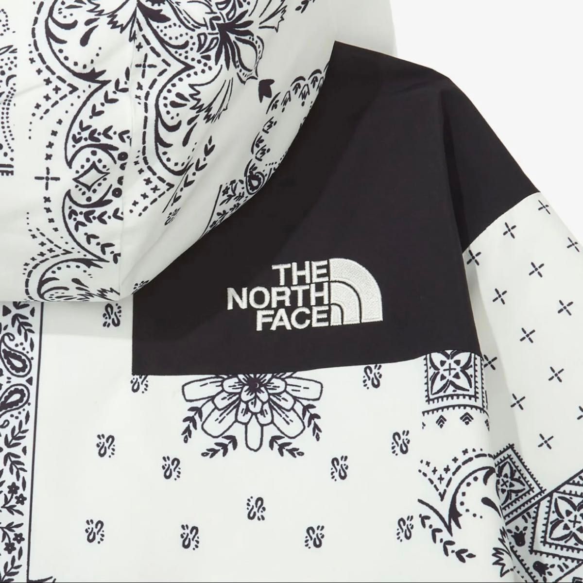 韓国 ノースフェイス マウンテンジャケット パーカー レディース ペイズリー THE NORTH FACE JACKET 撥水