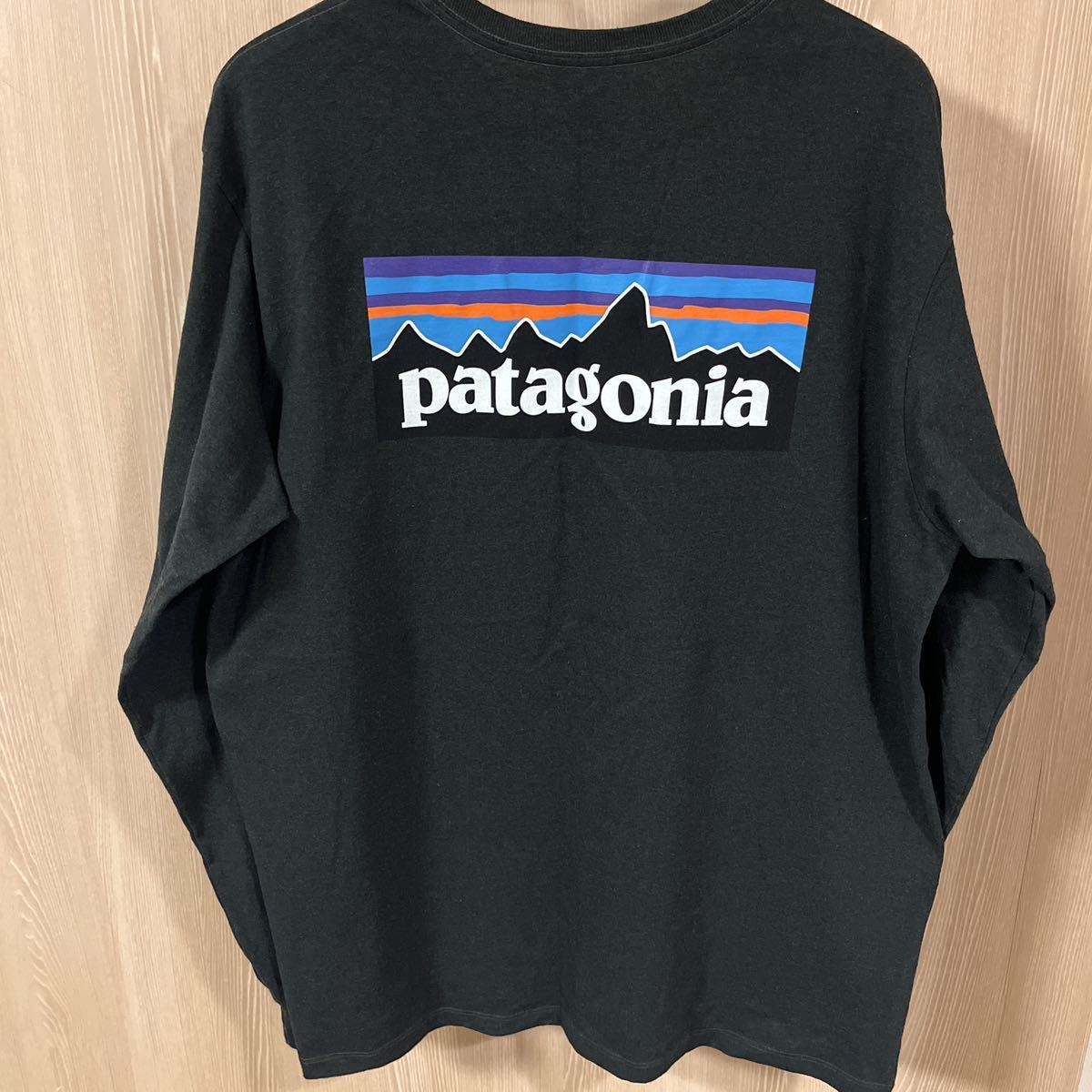 ◆美品◆patagonia 38518　Kelp Forest (KPF) パタゴニア メンズ・ロングスリーブ・ P-6ロゴ レスポンシビリティー　サイズL