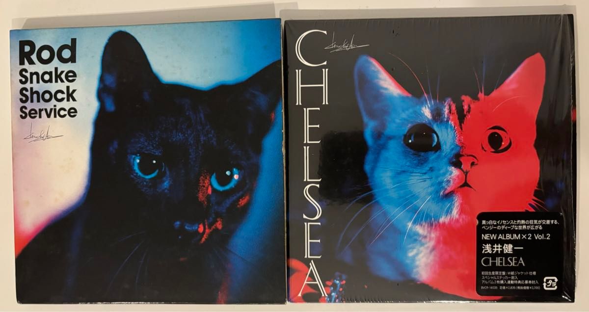 浅井健一／CD２枚セット　　「Rod Snake Shock Service」　「CHELSEA」