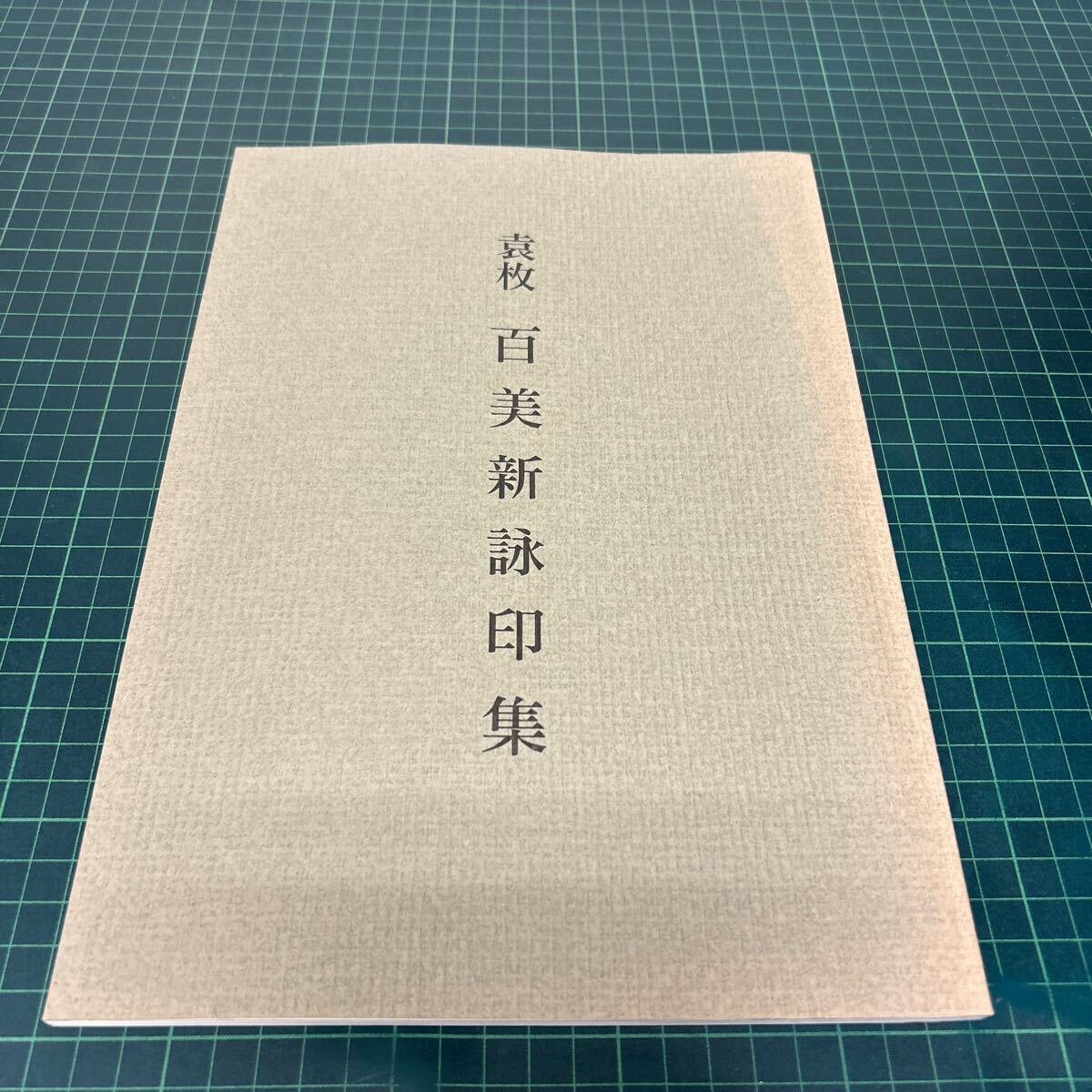 袁枚 百美新詠印集 2008年 日本篆刻家協会 山下方亭（題字） 印譜 書道_画像1