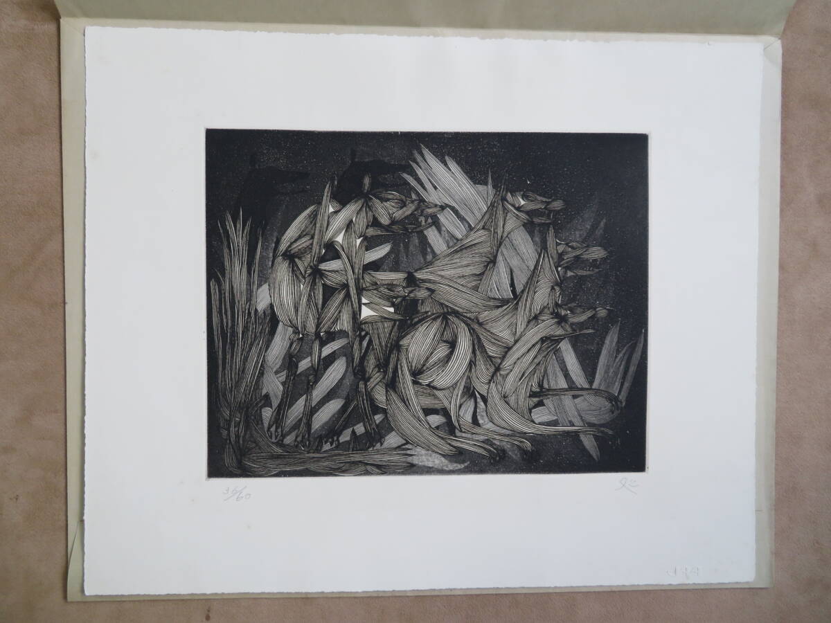 【12】加山又造 銅版画「狼」1964年 限定60部 直筆サイン 真作 日本美術家連盟 JAA版画コレクション_画像1