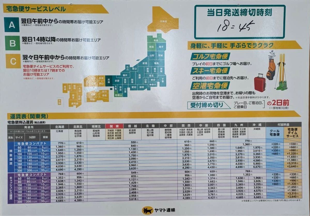 千葉県 バキバキ柄 62センチ ギセラ タンザニア便直輸入記念 タンガニーカ湖 ワイルド タンザニア便 62センチ前後 キランドの画像10