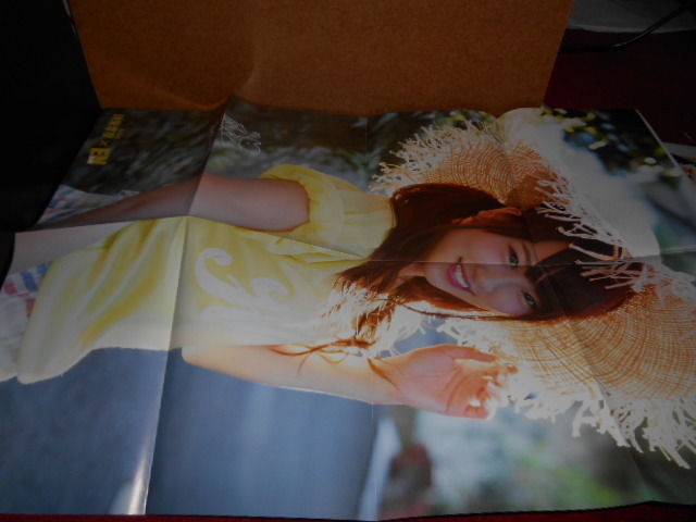 川栄李奈（AKB48） 雑誌切り抜き 8ページ ポスター 2面の画像5