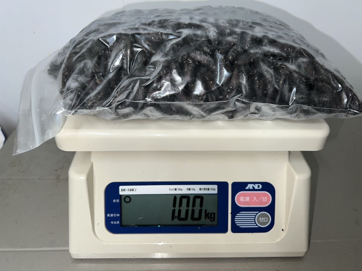 【セール品】冷凍クロコオロギ サイズ:ML 1kg 約1100匹程 送料無料の画像1
