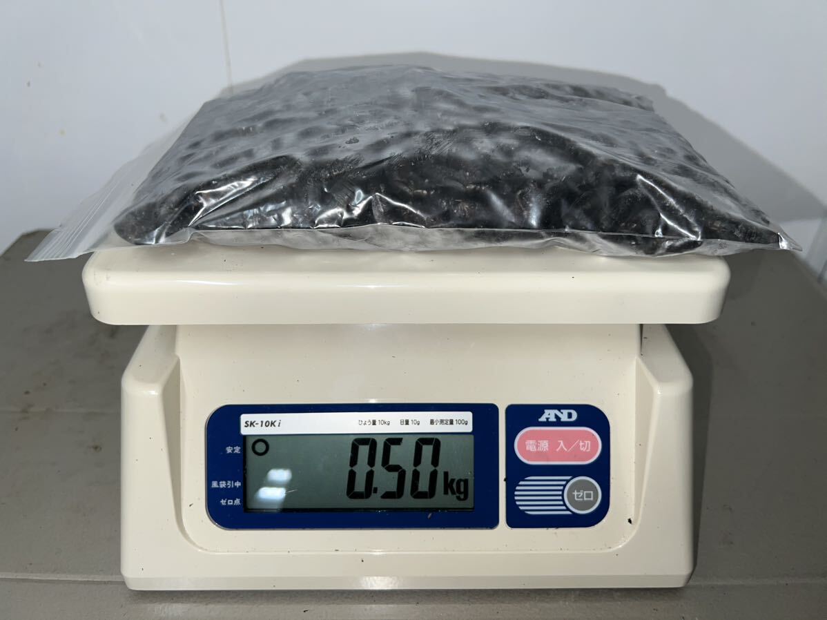 【セール品】冷凍クロコオロギ サイズ:ML 500g 約550匹程 送料無料の画像1