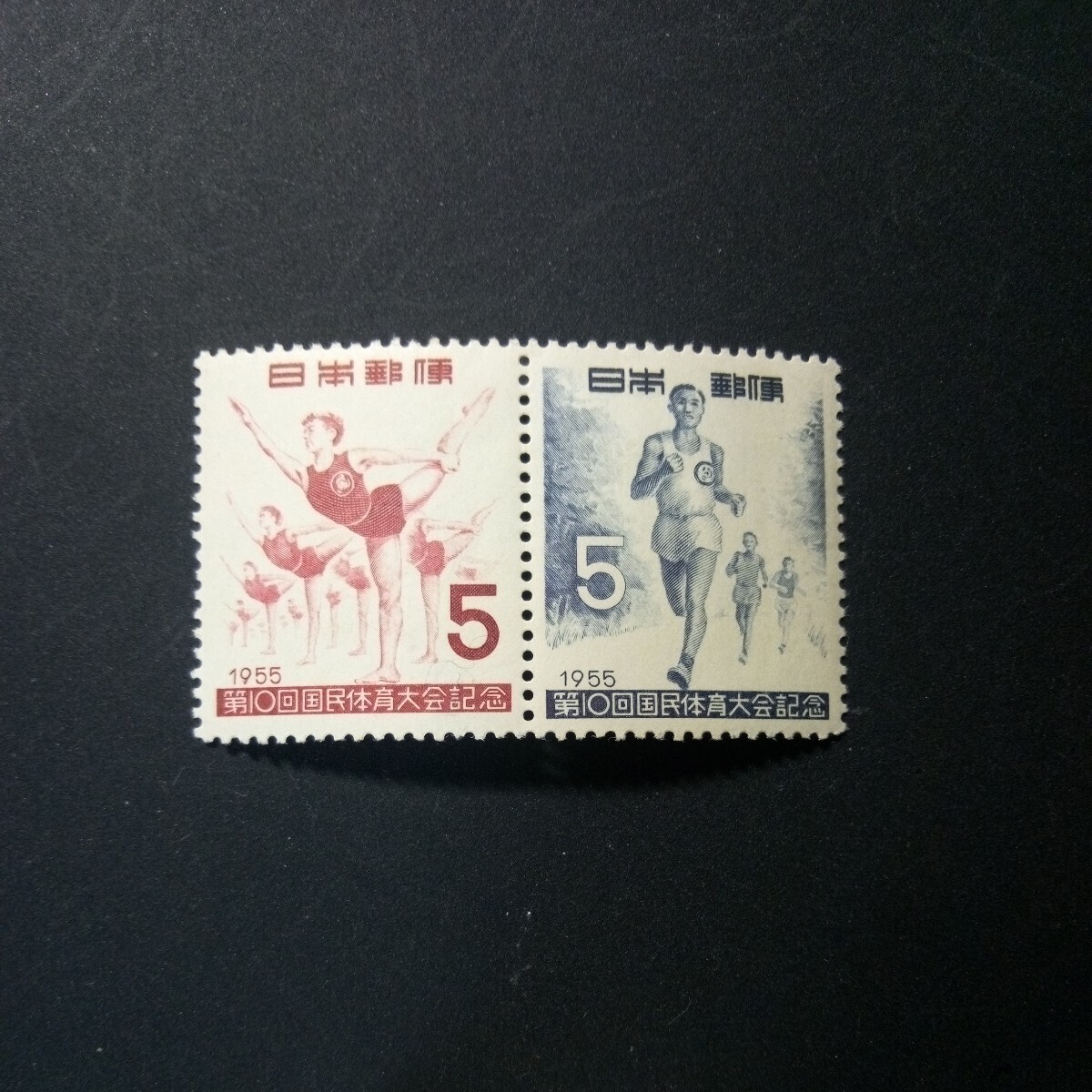 切手　第10回国体記念　2種連刷　　1955年_画像1
