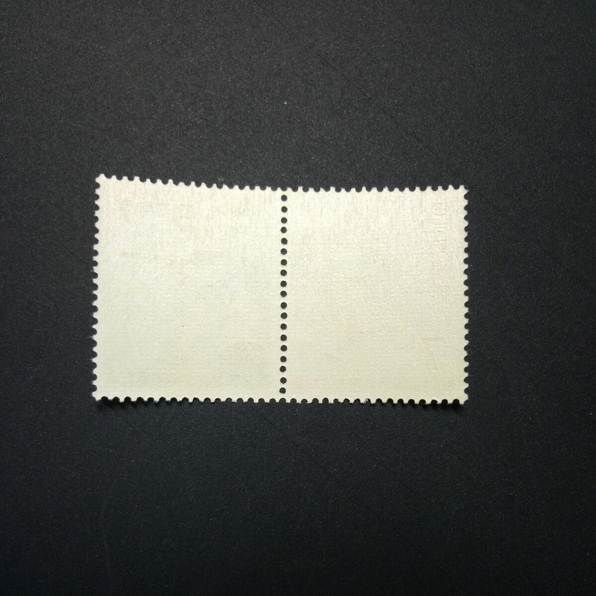 切手 第21回国体記念 2種連刷  1966年の画像2