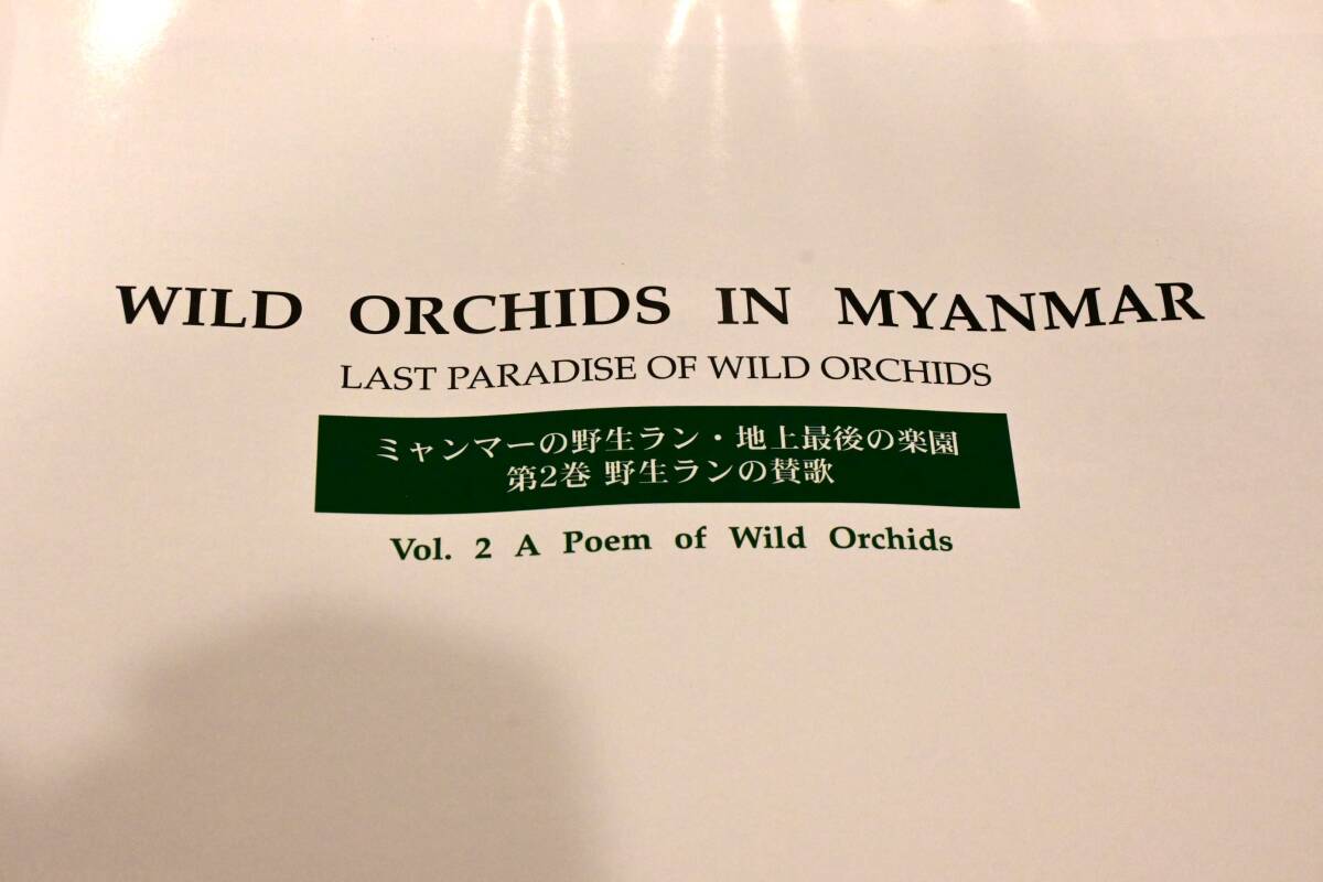 II-47　Wild Orchids In Myanmar Last Paradise of Wild Orchids　ミャンマーの野生蘭・第2巻　洋蘭 中古書籍 　(R6.0324-II 本 他) _画像3