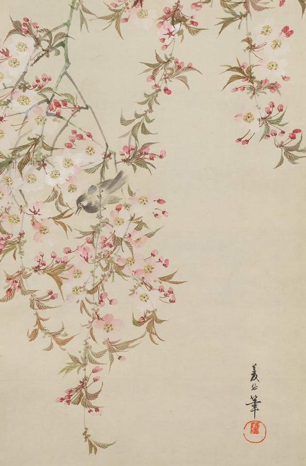 【不明】◆菱仙◆桜に小鳥◆花鳥◆さくら◆日本画◆肉筆◆絹本◆掛軸◆t513_画像5