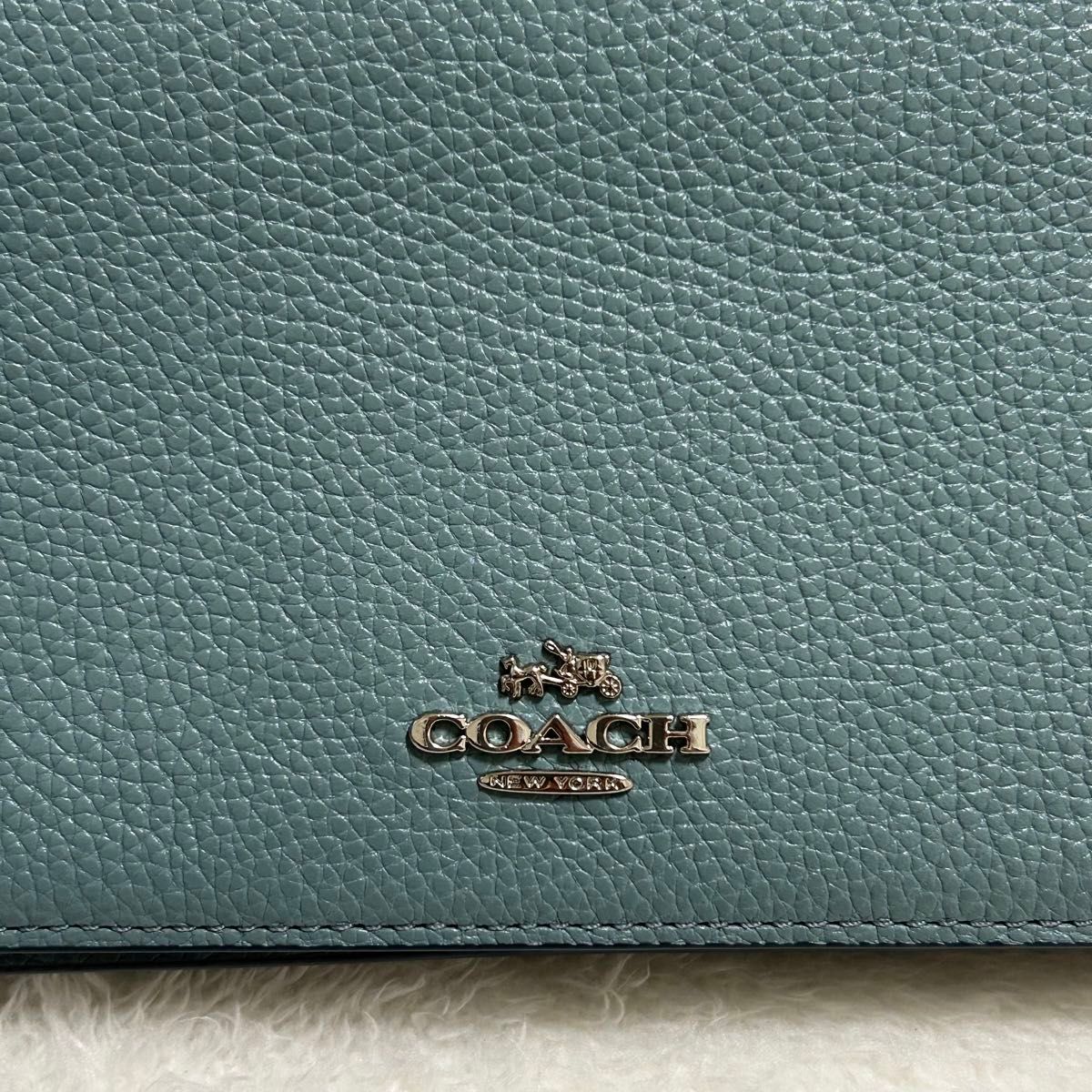 COACH コーチ お財布ポシェット ショルダーバッグ ショルダーウォレット 斜め掛け ロゴ刻印 レザー シボ革 87401